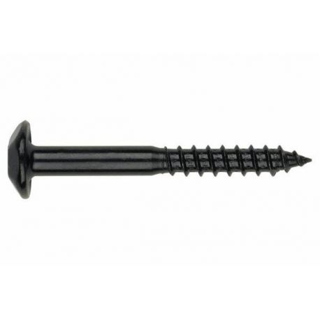 Tornillo Barraquero Inviolable Torx Negr 7X80 2Uni