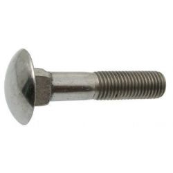 Tornillo Zincado Din 603 C 100 S/Tuerca