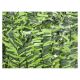 Seto Decorativo Artificial De Hoja Ancha 1X3M