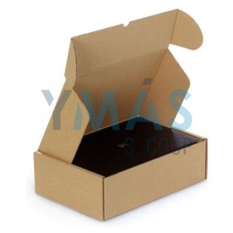 Caja E-Commerce 350X250X160Mm