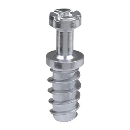 Tornillo Para Excentrica Modelo 60 10 Unidades