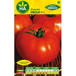 Semillas Tomate Virgilio Híbrido HA