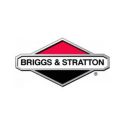 Briggs stratton
