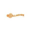 Gallagher 